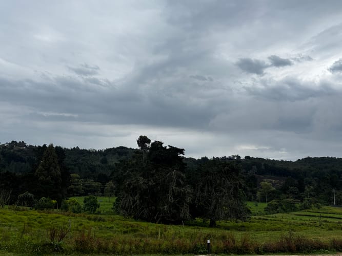 Lote en venta en Vía Las Palmas, Envigado, 2100 m² · foto 3 de 12