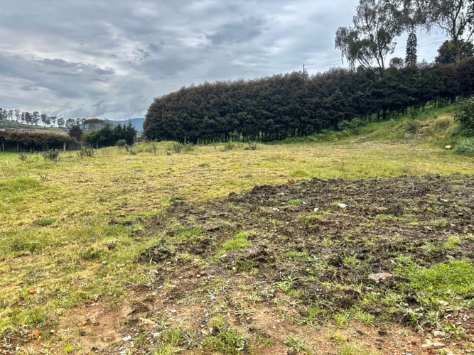 Lote en venta en Vía Las Palmas, Envigado, 2100 m² · foto 5 de 12