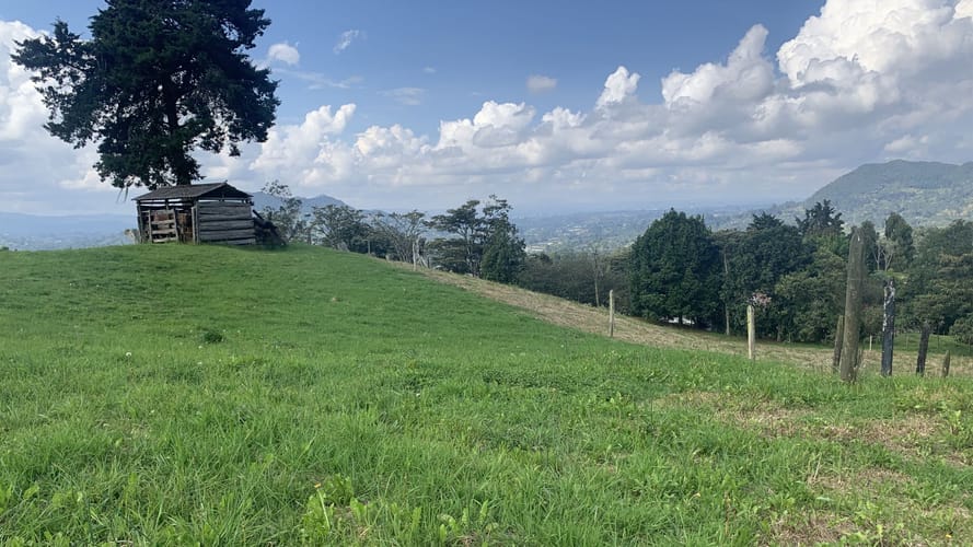 Lote en venta en La Loma, La Ceja, 100000 m² · foto 6 de 9