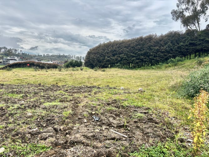 Lote en venta en Vía Las Palmas, Envigado, 2100 m² · foto 7 de 12