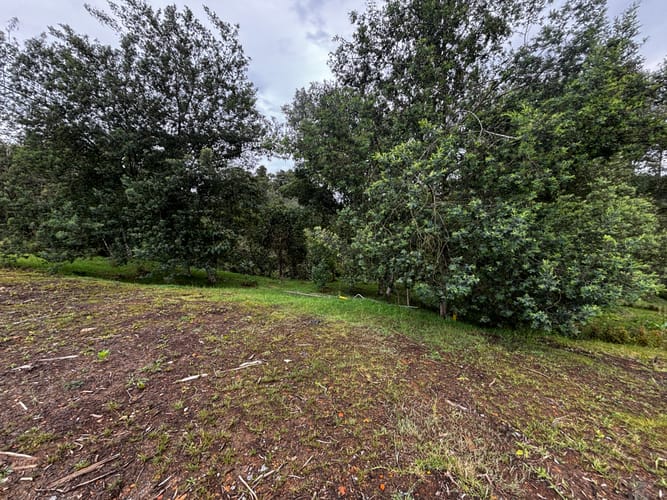 Lote en venta en Vía Las Palmas, Envigado, 2100 m² · foto 11 de 12