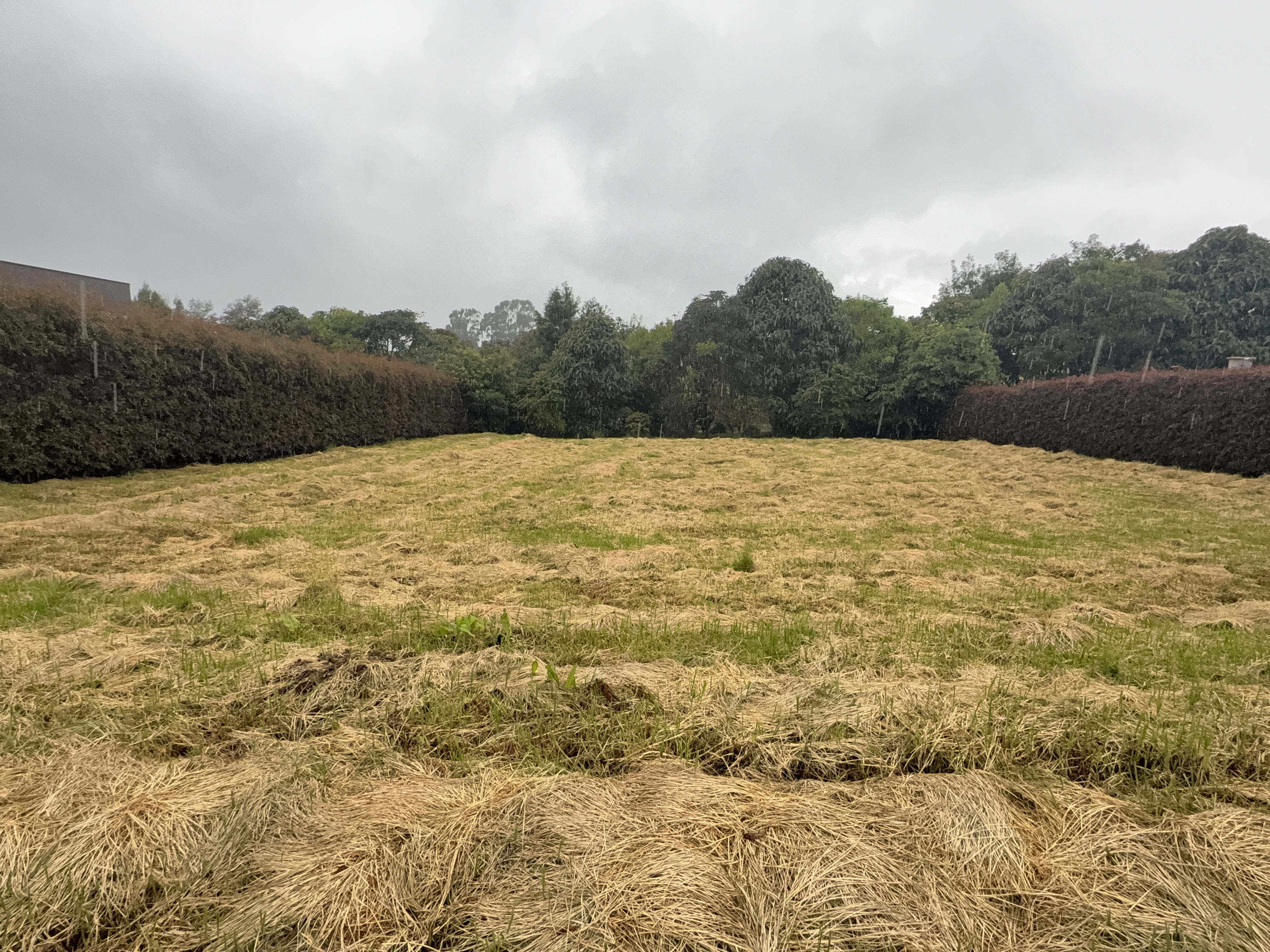 Land in Vía Las Palmas (2108 m²) for Sale
