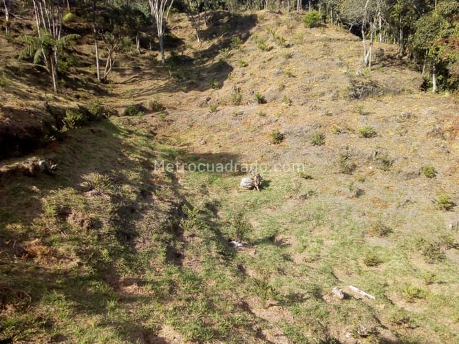 Finca en venta en Santa Elena, Medellín, 7382 m² · foto 12 de 16