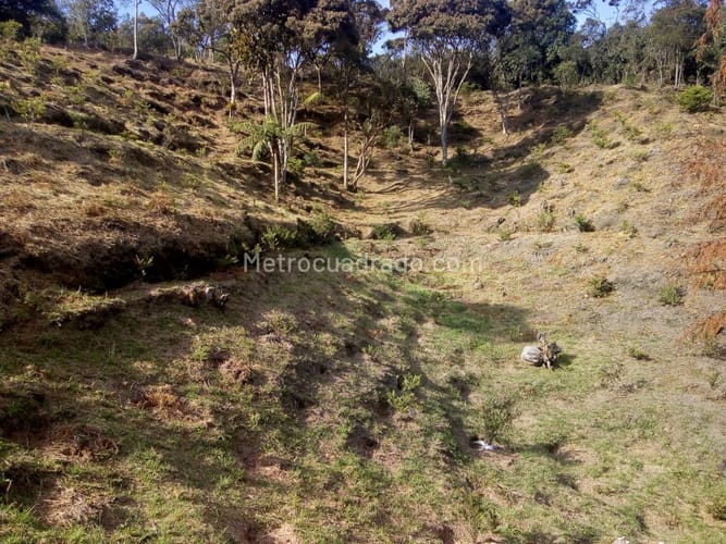 Finca en venta en Santa Elena, Medellín, 7382 m² · foto 14 de 16