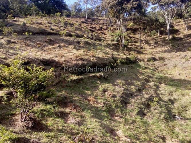 Finca en venta en Santa Elena, Medellín, 7382 m² · foto 15 de 16