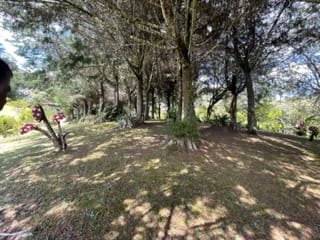 Casa de 4 alcobas en venta en La Ceja · foto 19 de 24