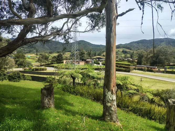 Lote en venta en Quirama, El Carmen de Viboral, 2907 m² · foto 6 de 15