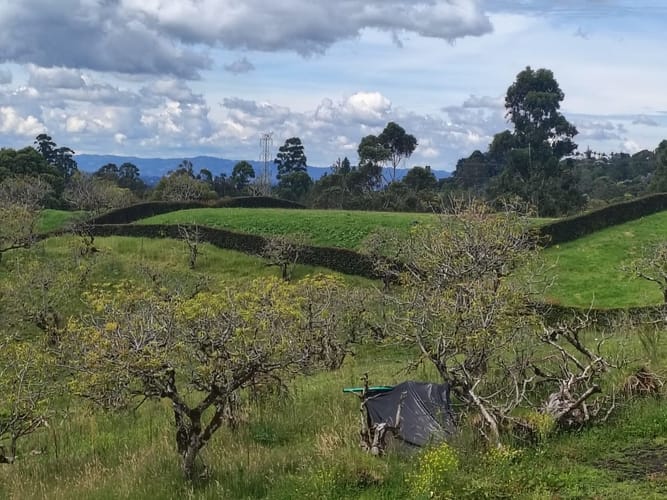 Lote en venta en Quirama, El Carmen de Viboral, 2907 m² · foto 8 de 15