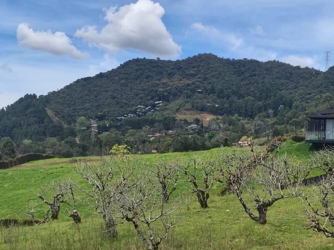 Lote en venta en Quirama, El Carmen de Viboral, 2907 m² · foto 9 de 15