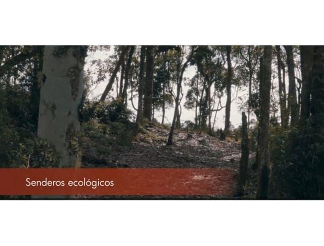 Lote en venta en Vía Las Palmas, Envigado, 1230 m² · foto 5 de 6