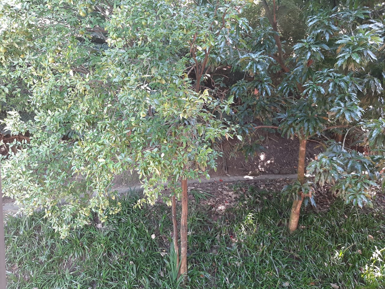Apartamento en venta en El Poblado, Medellín · foto 16 de 18