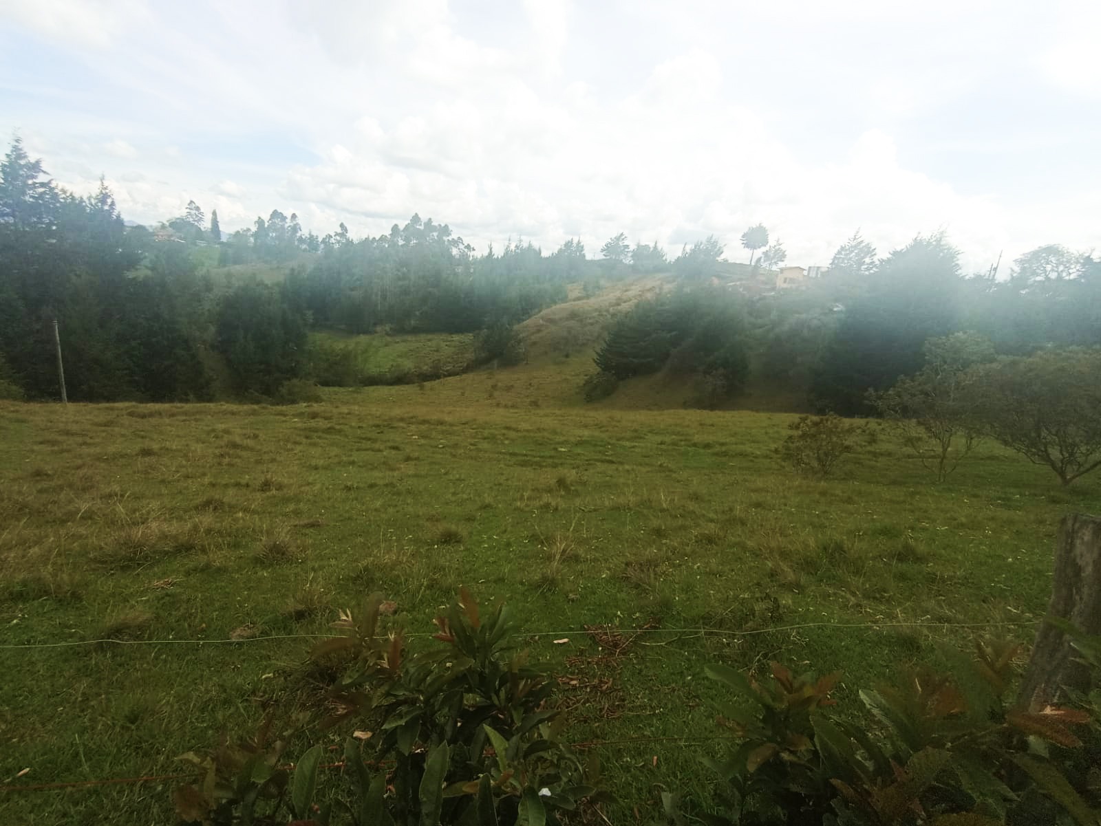 Land in El porvenir for Sale