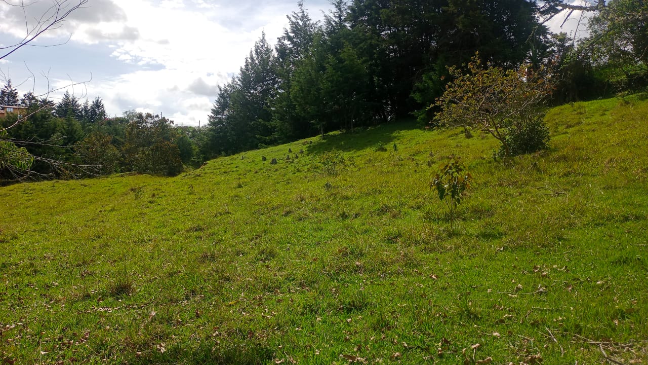Land in El porvenir for Sale - 2