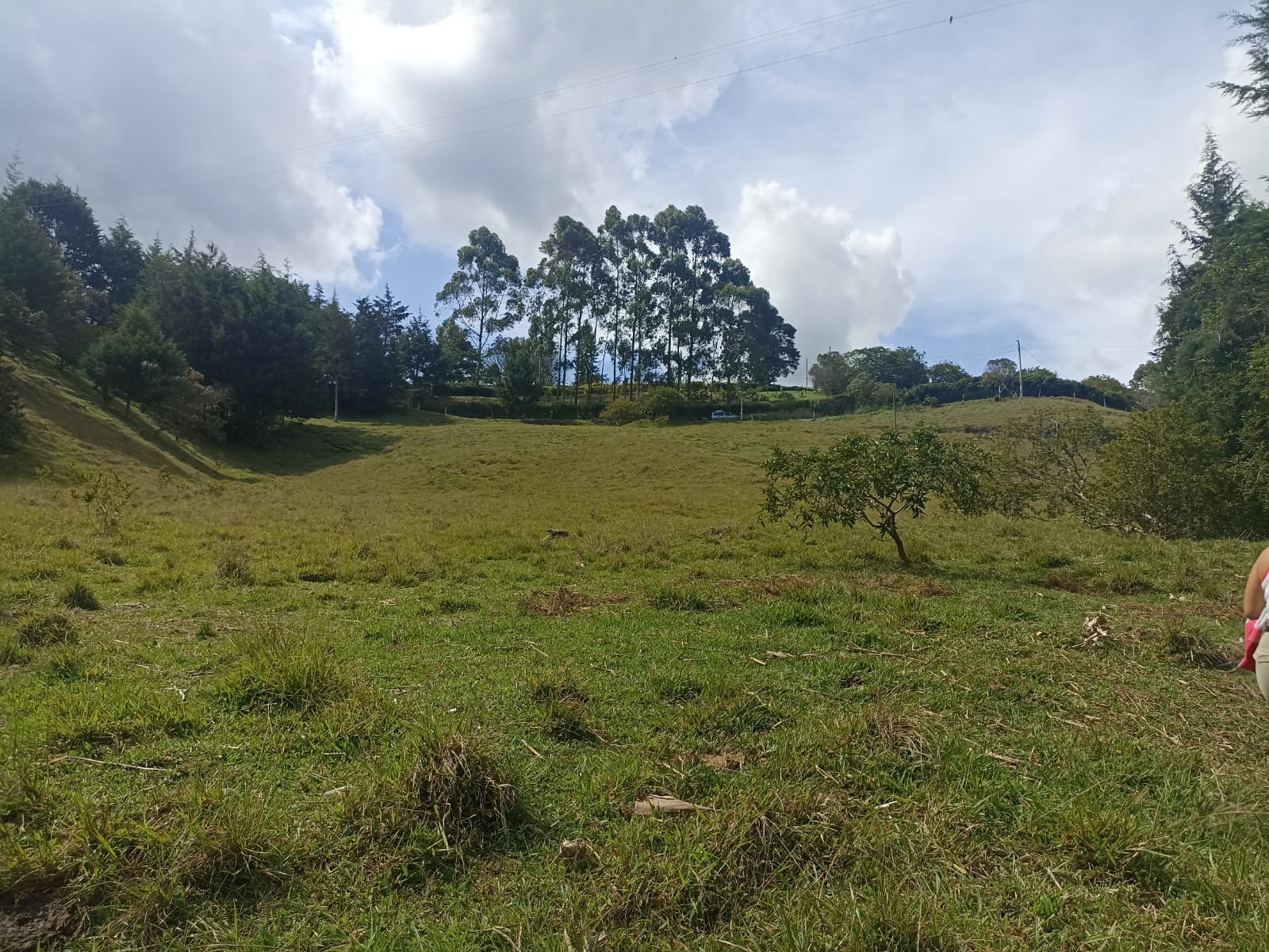 Land in El porvenir for Sale - 3