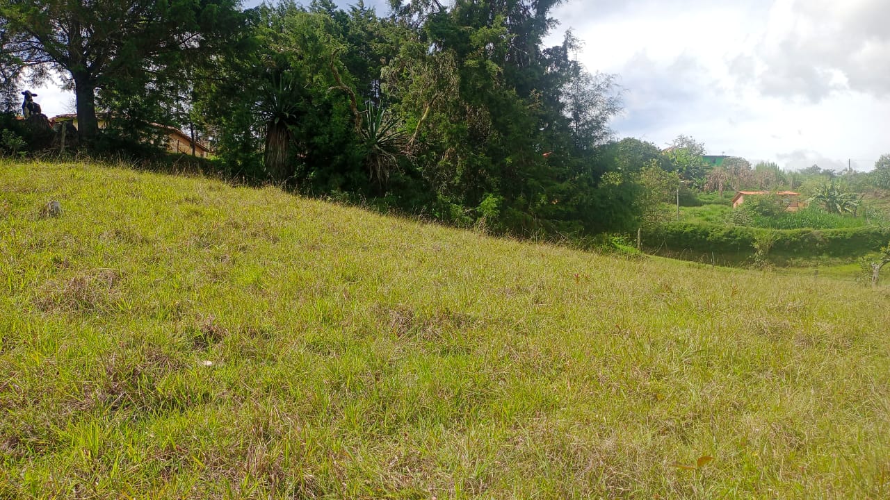Land in El porvenir for Sale - 4