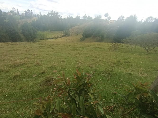 Lote en venta en El Porvenir, Rionegro, 40387 m² · foto 9 de 16