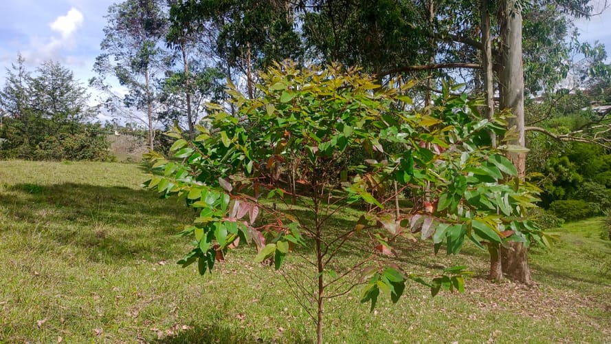 Lote en venta en El Porvenir, Rionegro, 40387 m² · foto 15 de 16