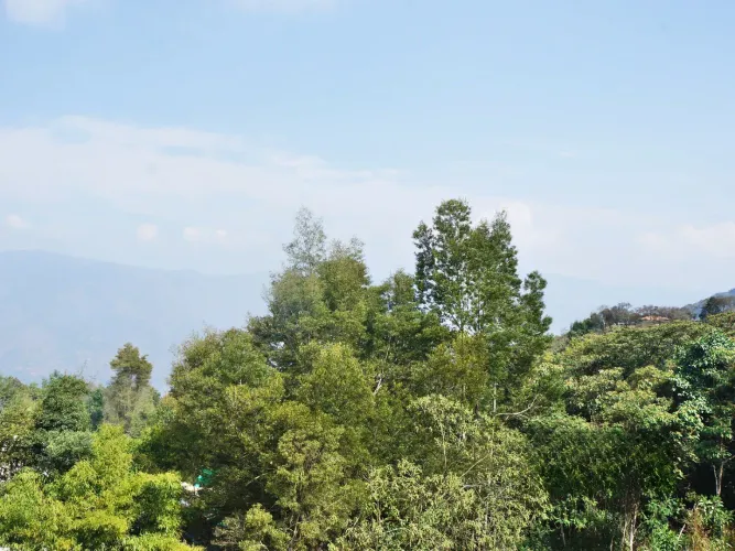 Lote en venta en Alto De La Virgen, Guarne, 36000 m² · foto 16 de 24