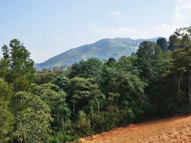 Lote en venta en Alto De La Virgen, Guarne, 36000 m² · foto 18 de 24