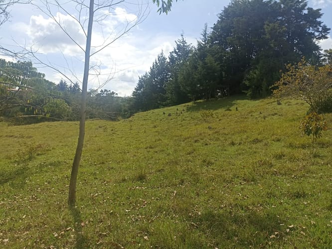 Lote en venta en Santa Barbara, Rionegro, 40387 m² · foto 3 de 19