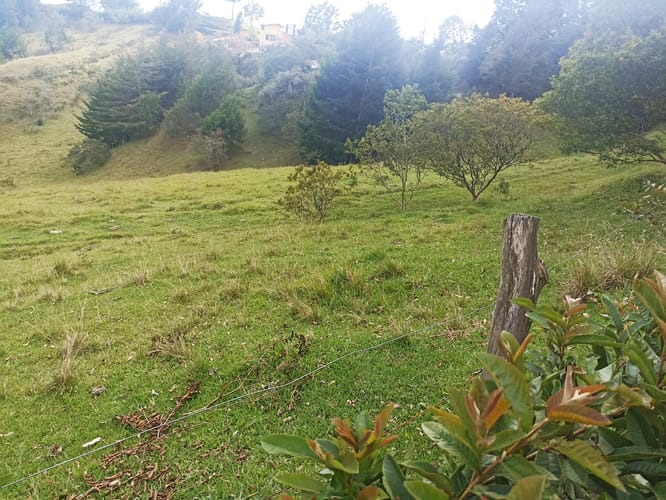 Lote en venta en Santa Barbara, Rionegro, 40387 m² · foto 5 de 19