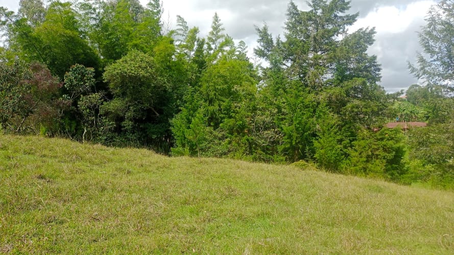 Lote en venta en Santa Barbara, Rionegro, 40387 m² · foto 7 de 19