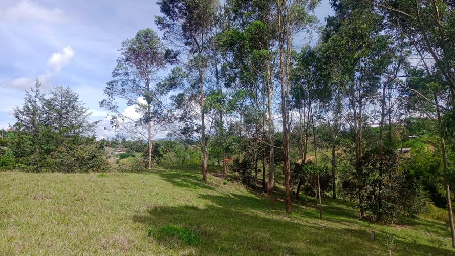 Lote en venta en Santa Barbara, Rionegro, 40387 m² · foto 11 de 19