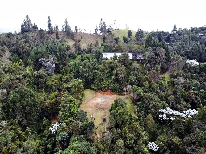 Lote en venta en Los Salados, El Retiro, 12470 m² · foto 2 de 8