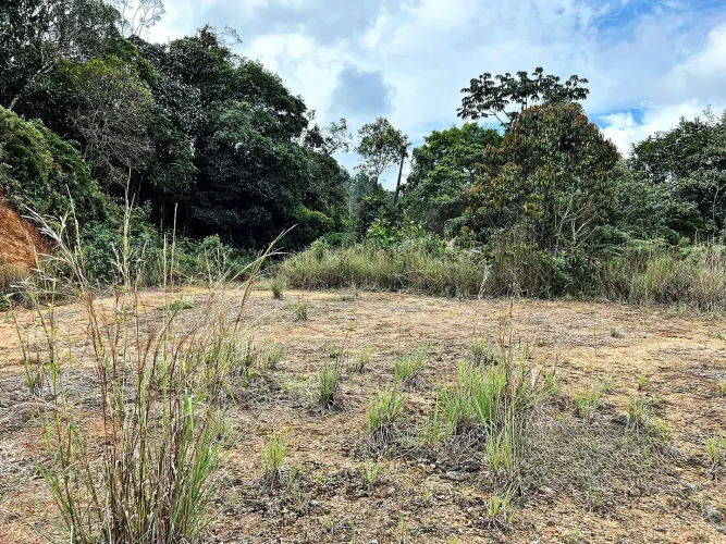 Lote en venta en Los Salados, El Retiro, 12470 m² · foto 3 de 8