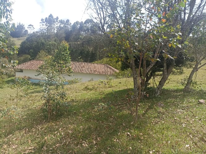 Lote en venta en Santa Barbara, Rionegro, 40387 m² · foto 18 de 19