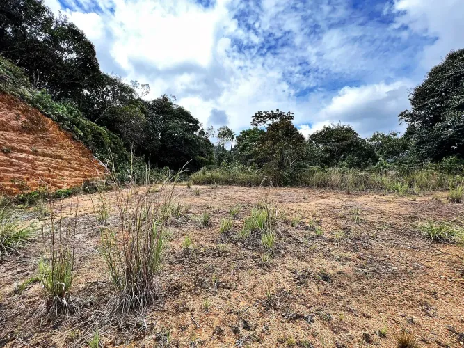 Lote en venta en Los Salados, El Retiro, 12470 m² · foto 6 de 8