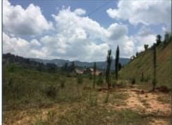 Lote en venta en Guarne, 46000 m² · foto 2 de 11