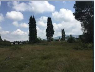 Lote en venta en Guarne, 46000 m² · foto 3 de 11