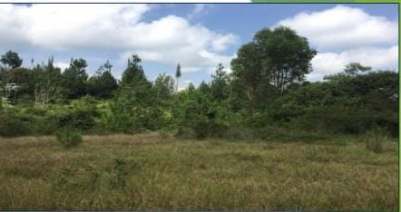 Lote en venta en Guarne, 46000 m² · foto 4 de 11