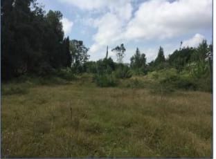 Lote en venta en Guarne, 46000 m² · foto 6 de 11