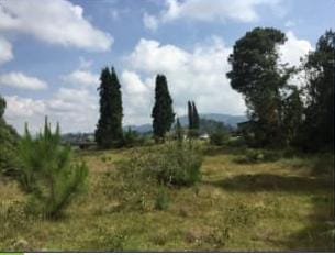 Lote en venta en Guarne, 46000 m² · foto 10 de 11