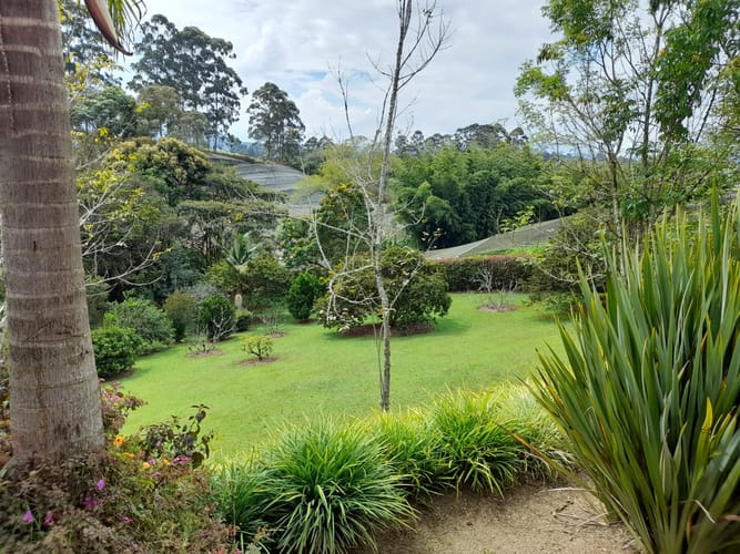 Finca en venta en El Carmen De Viboral, El Carmen de Viboral, 3850 m² · foto 23 de 24