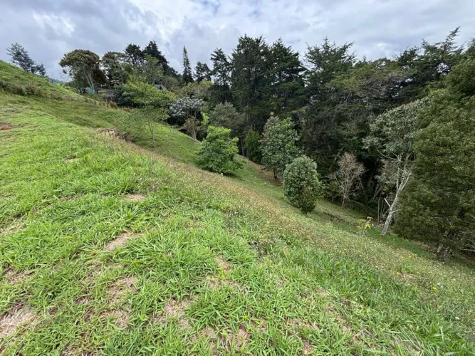 Lote en venta en Guayabito, Rionegro, 10006 m² · foto 2 de 16