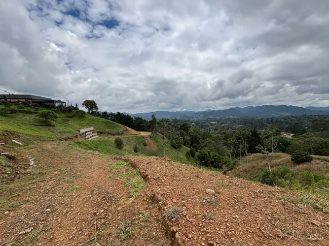 Lote en venta en Guayabito, Rionegro, 10006 m² · foto 6 de 16