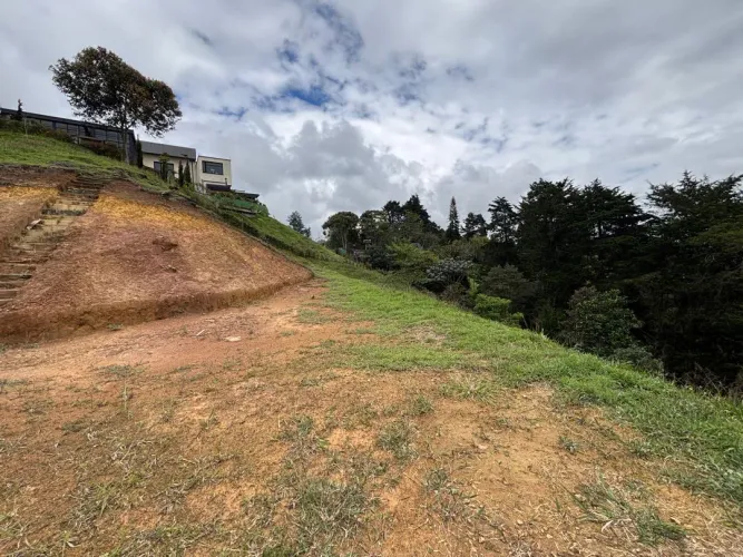 Lote en venta en Guayabito, Rionegro, 10006 m² · foto 8 de 16