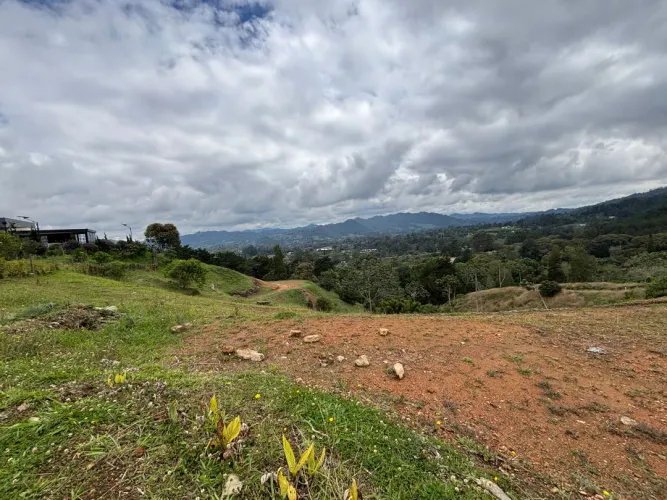 Lote en venta en Guayabito, Rionegro, 10006 m² · foto 9 de 16