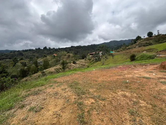 Lote en venta en Guayabito, Rionegro, 10006 m² · foto 10 de 16