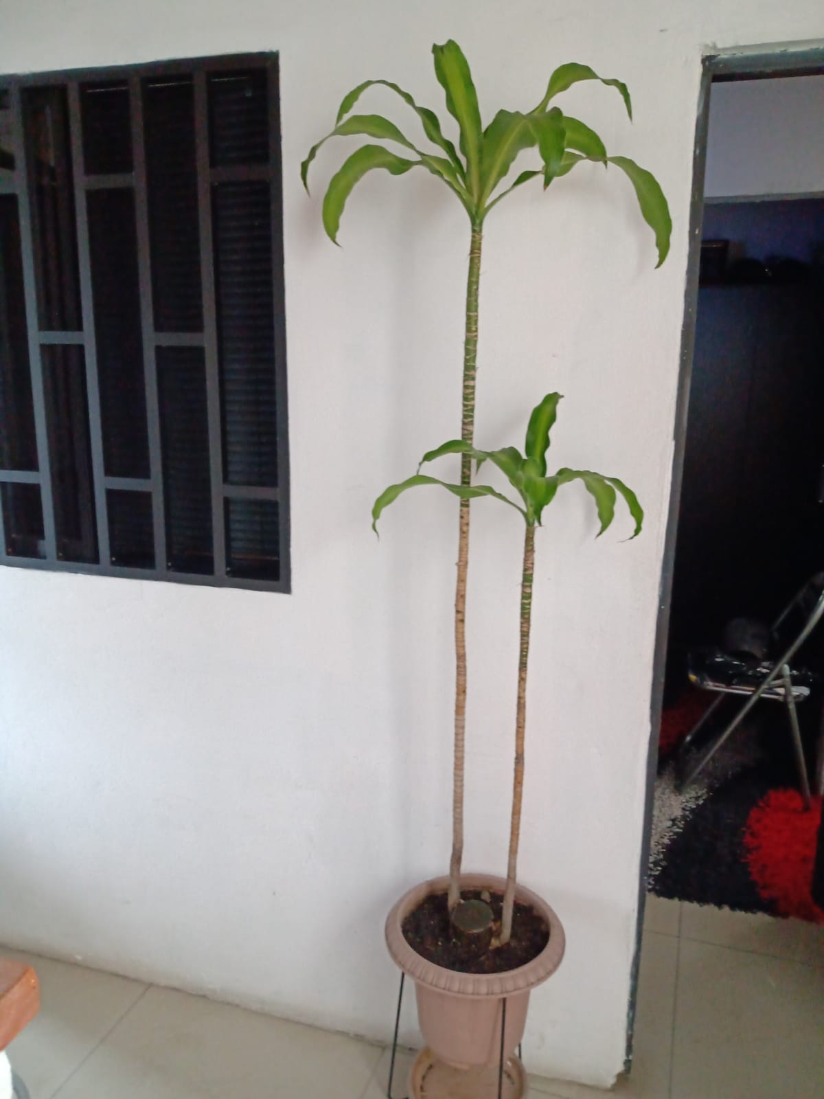Apartamento en venta en Belén, Medellín · foto 13 de 13