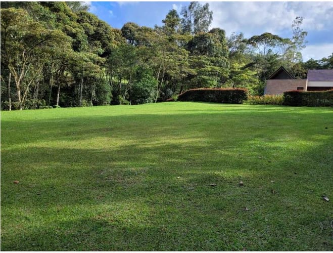 Lote en venta en Pantanillo, El Retiro, 2944 m² · foto 2 de 16