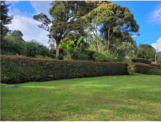Lote en venta en Pantanillo, El Retiro, 2944 m² · foto 4 de 16