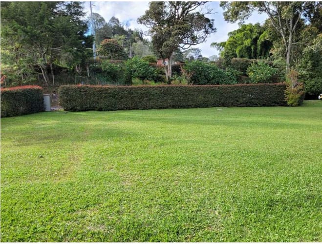 Lote en venta en Pantanillo, El Retiro, 2944 m² · foto 6 de 16