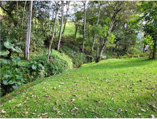 Lote en venta en Pantanillo, El Retiro, 2944 m² · foto 7 de 16