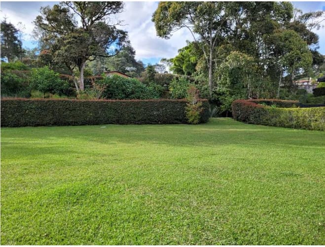 Lote en venta en Pantanillo, El Retiro, 2944 m² · foto 8 de 16