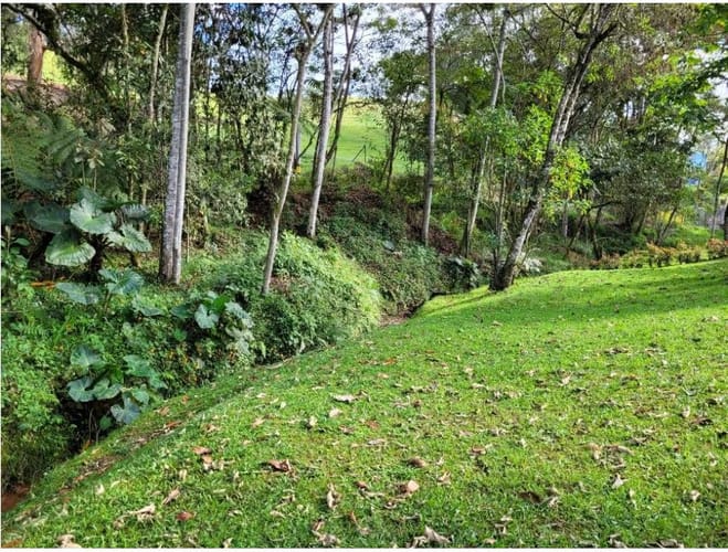 Lote en venta en Pantanillo, El Retiro, 2944 m² · foto 12 de 16