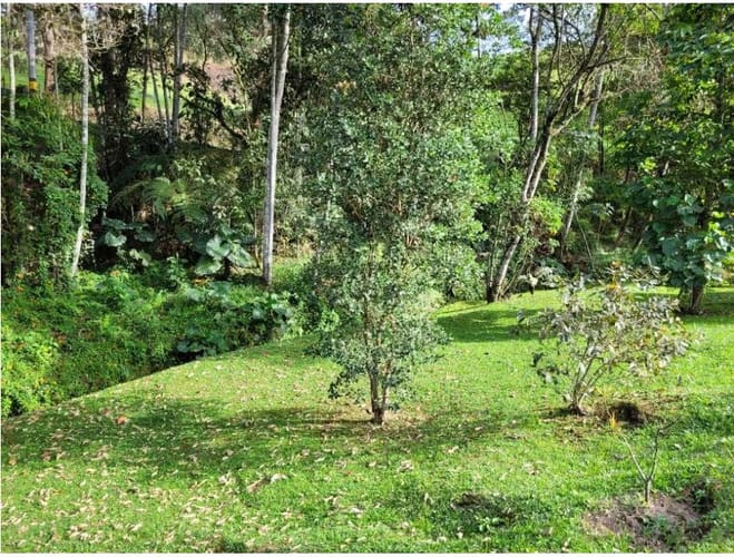 Lote en venta en Pantanillo, El Retiro, 2944 m² · foto 16 de 16